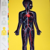 Human Body app by Tiny Bop